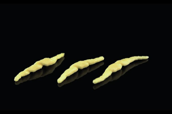 Trofie fresh pasta